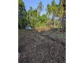 perch-54-land-for-sale-in-tangalle-town-small-4