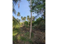 perch-54-land-for-sale-in-tangalle-town-small-3