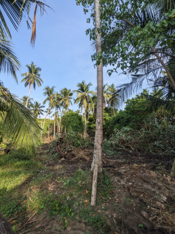 perch-54-land-for-sale-in-tangalle-town-big-3