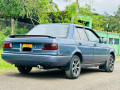 nissan-sunny-small-2