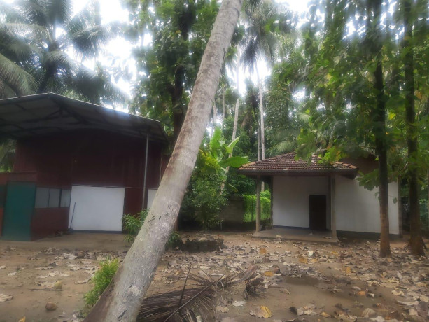 perch-22-land-with-house-for-sale-in-marawila-big-2