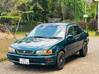 toyota-corolla-ce110