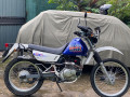 suzuki-djebel-2006-small-0