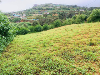 perch-14-land-for-sale-in-nuwaraeliya