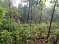 perch-280-land-for-sale-in-kalutara-small-3