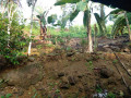 perch-280-land-for-sale-in-kalutara-small-4