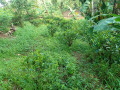 perch-280-land-for-sale-in-kalutara-small-2