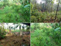 perch-280-land-for-sale-in-kalutara-small-0