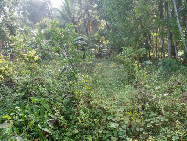 perch-280-land-for-sale-in-kalutara-big-1