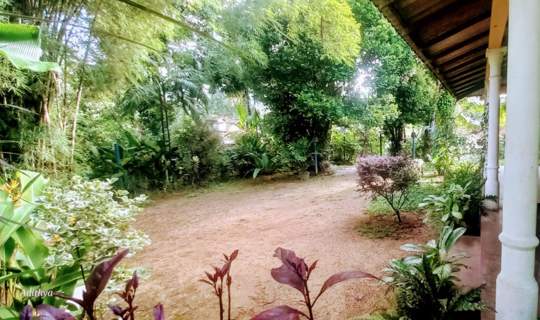 house-for-sale-in-ruwanwella-big-2