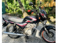 bajaj-ct100-2013-small-0