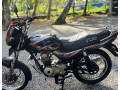 bajaj-ct100-2013-small-2