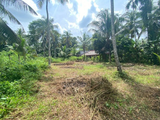 perch-30-land-for-sale-in-gampaha