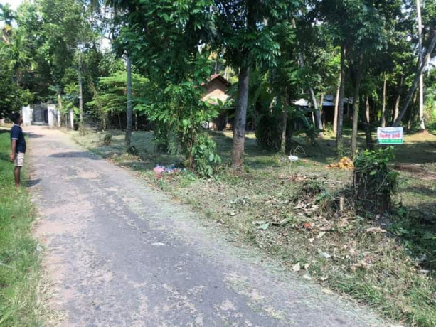 perch-54-land-for-sale-in-kurunegala-big-1