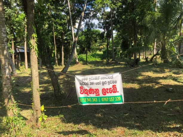 perch-54-land-for-sale-in-kurunegala-big-3
