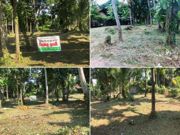 perch-54-land-for-sale-in-kurunegala-big-0