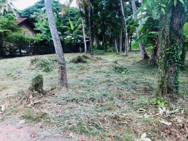 perch-54-land-for-sale-in-kurunegala-big-4
