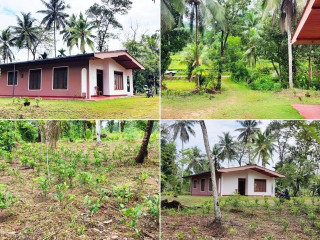 1-acres-land-for-sale-in-galle