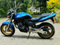 honda-hornet-ch130-2015-small-0