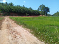 land-for-sale-in-kurunegala-small-4