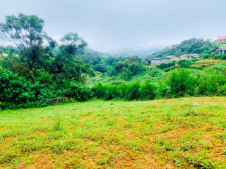 perch-13-land-for-sale-in-nuwaraeliya