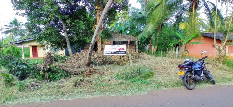 perch-15-land-for-sale-in-kurunegala-big-1