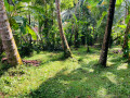 perch-435-land-for-sale-in-veyangoda-small-1