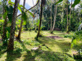 perch-435-land-for-sale-in-veyangoda-small-0