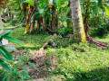 perch-435-land-for-sale-in-veyangoda-small-2