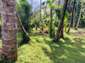 perch-435-land-for-sale-in-veyangoda-small-3