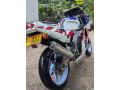 honda-cbr-250-gullarm-2012-small-2