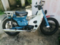 honda-supercup-c50-small-0