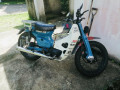 honda-supercup-c50-small-3