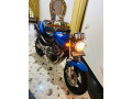 honda-hornet-ch115-2009-small-1