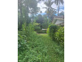 3-lands-for-sale-in-homagama-small-3
