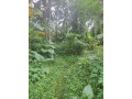 3-lands-for-sale-in-homagama-small-2