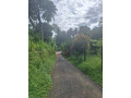 3-lands-for-sale-in-homagama-small-4