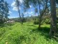 land-for-sale-in-kurunegala-small-1