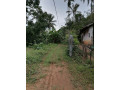 1-acres-land-with-house-for-sale-in-mirigama-small-3