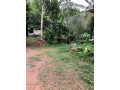 1-acres-land-with-house-for-sale-in-mirigama-small-4