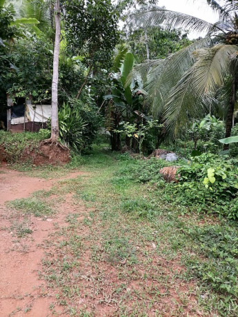 1-acres-land-with-house-for-sale-in-mirigama-big-4