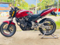 honda-hornet-ch110-2012-small-0