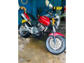 honda-hornet-ch110-2012-small-3