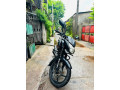 bajaj-pulsar-135ls-2016-small-3
