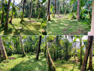 perch-435-land-for-sale-in-veyangoda