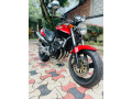 honda-hornet-250-ch110-small-3