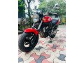 honda-hornet-250-ch110-small-4