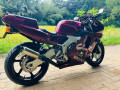 honda-cbr-250-gullarm-2012-small-0