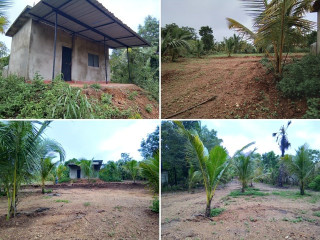 perch-120-land-for-sale-in-anuradapura