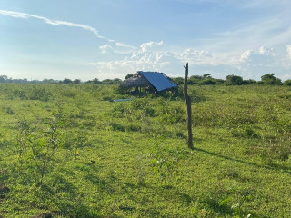 31-acres-land-for-sale-in-mattala